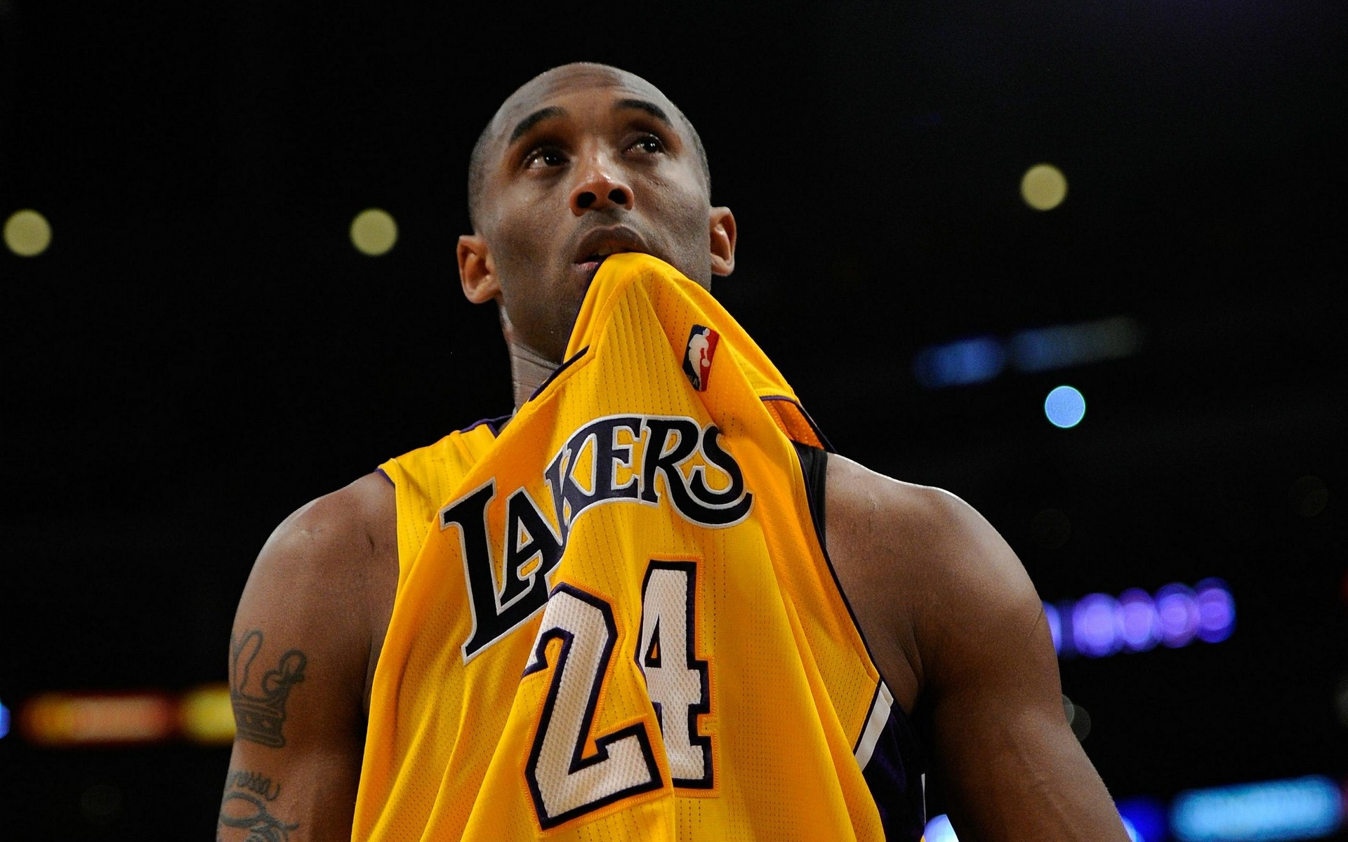 峻的挑战 峻的挑战